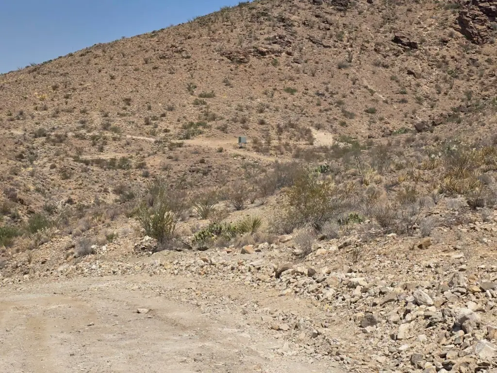 Picture 9