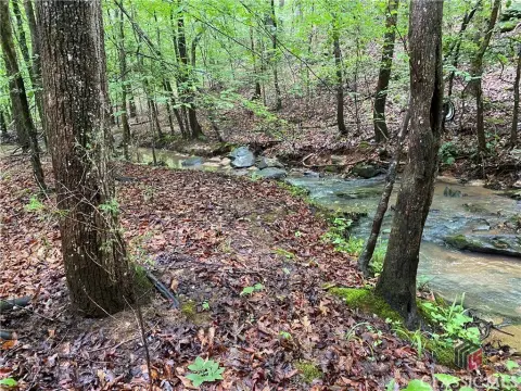 Recreational Land Near Lake Russell
