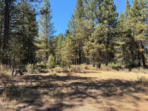 Mostly Level Land Parcel