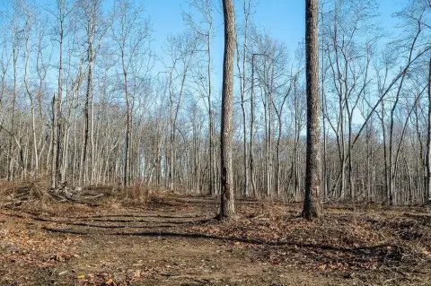 Unrestricted Land in Sasquatch Valley