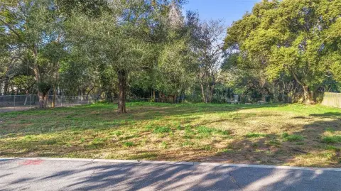 Residential Land in Orlando, Florida