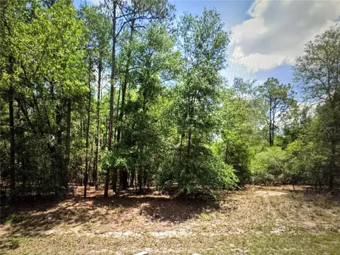 Residential Land in Citrus Springs