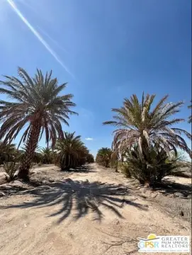 60 Acres Prime Agricultural Land