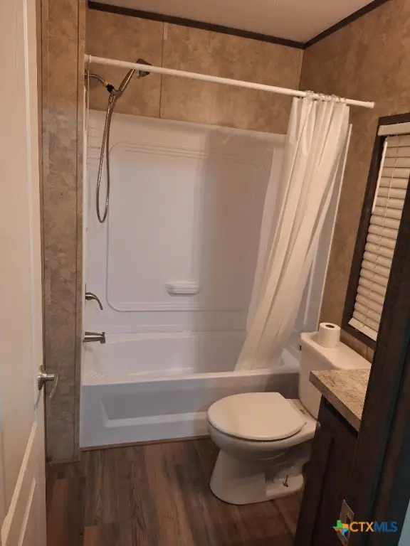 Picture 16