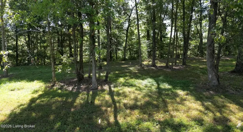 Picture 23