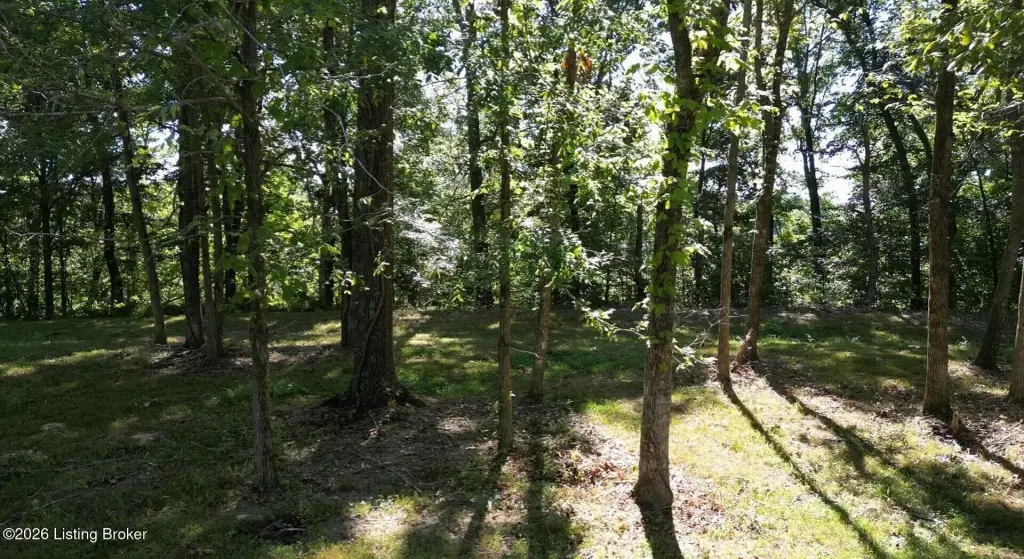 Picture 24