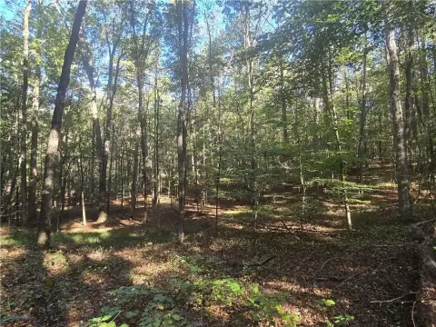 Jefferson, GA: 5 Acre Homesite