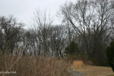 Knoxville Land Ready to Build