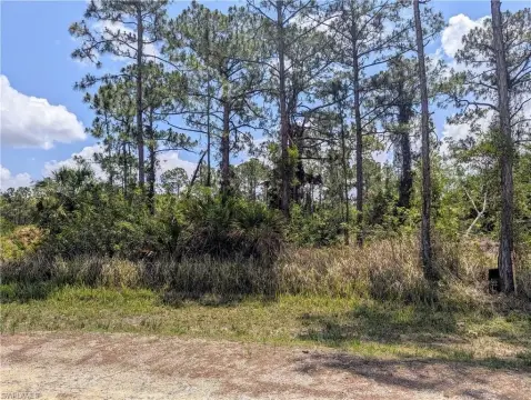 Residential Lot in Lehigh Acres
