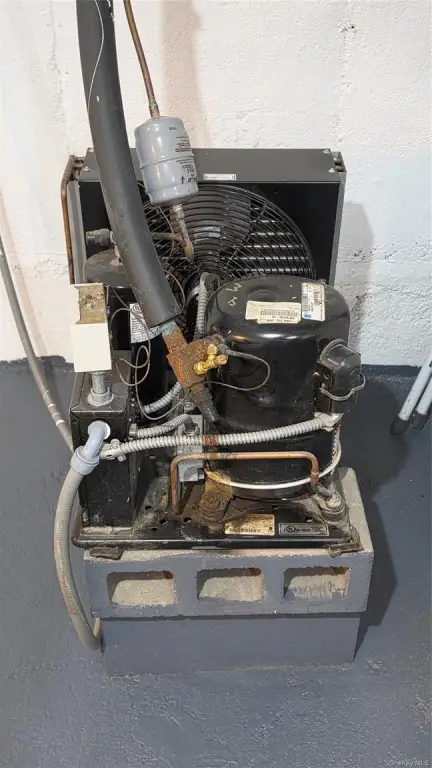Picture 20