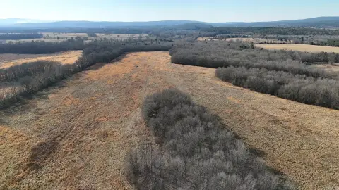 80 Acre River Bottom Land