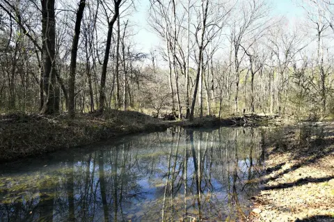 Secluded Acreage with Creek