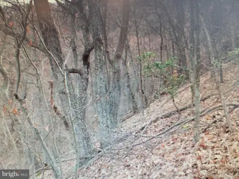 Mountain Recreation Land
