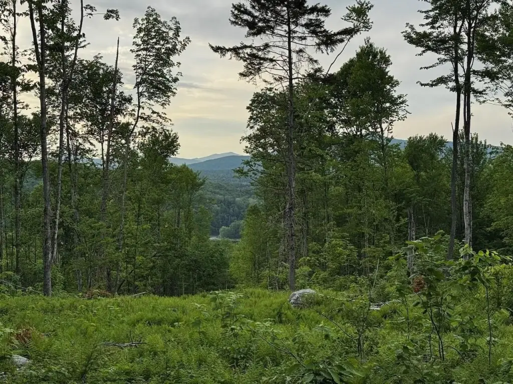 Picture 22