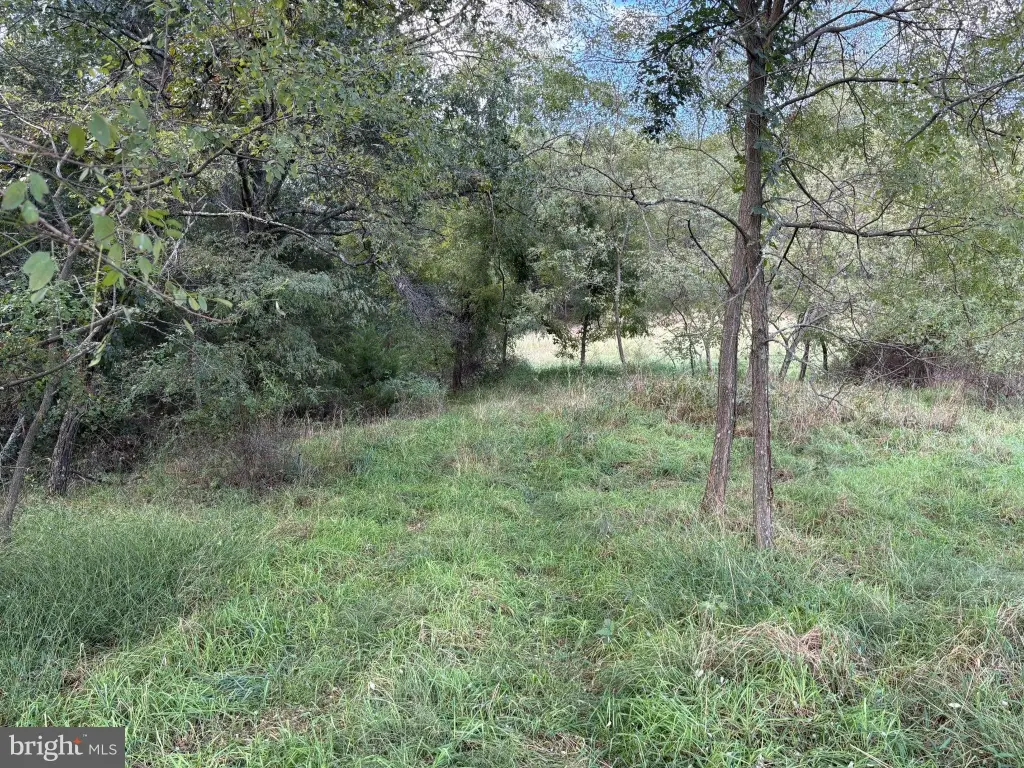 Picture 25