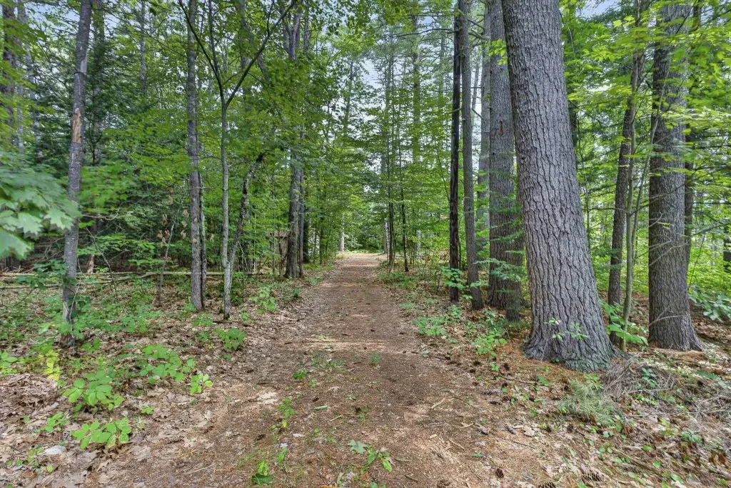 Picture 23