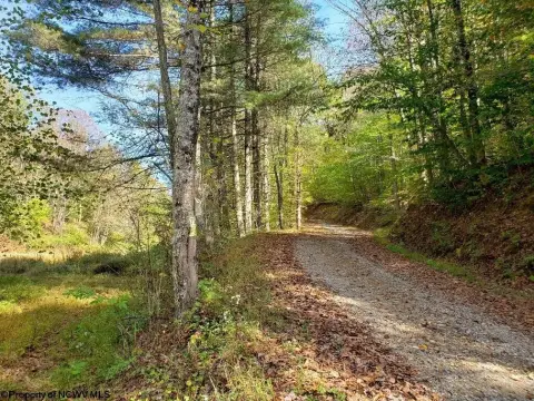 Mountain Land with Timber