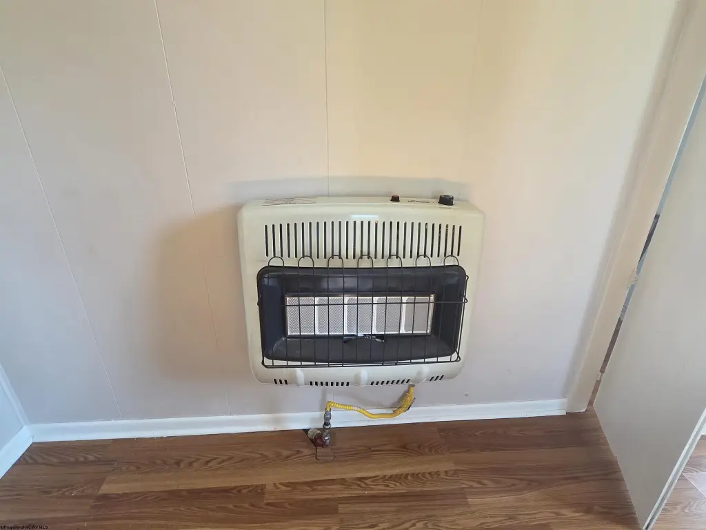 Picture 15
