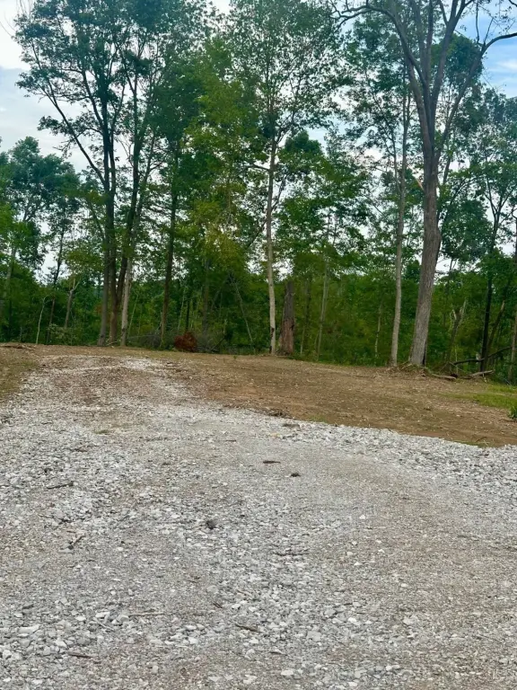 Picture 4