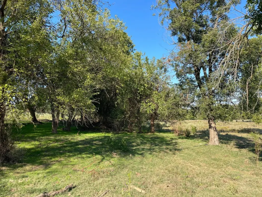 Picture 6