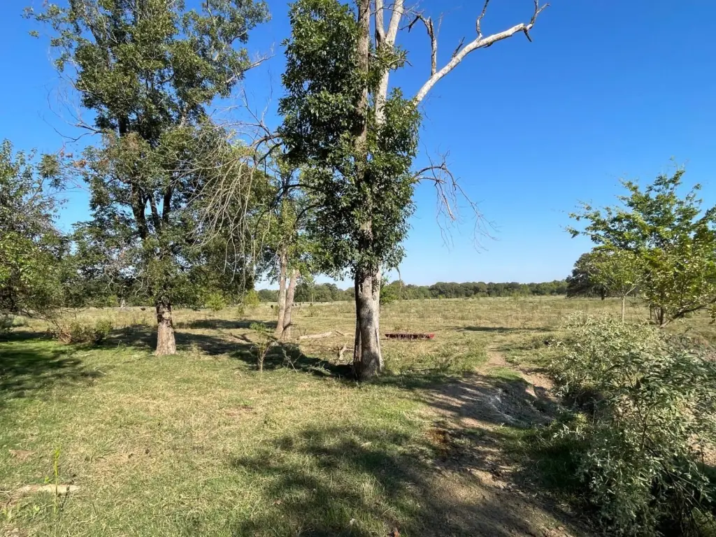 Picture 28
