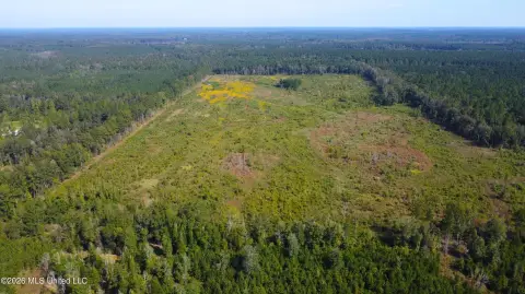 Hunting Land with Mixed Timber