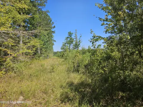 Clear-Cut Hunting Land