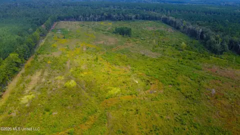Hunting Land with Hardwood Timber