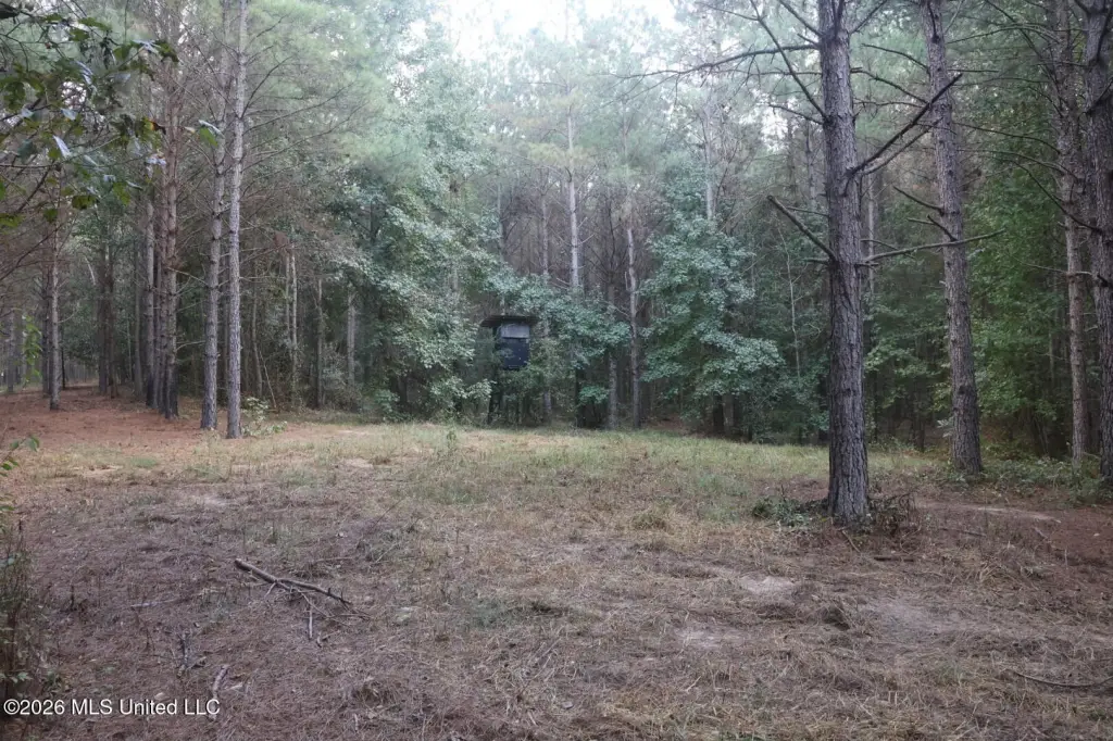 Picture 13
