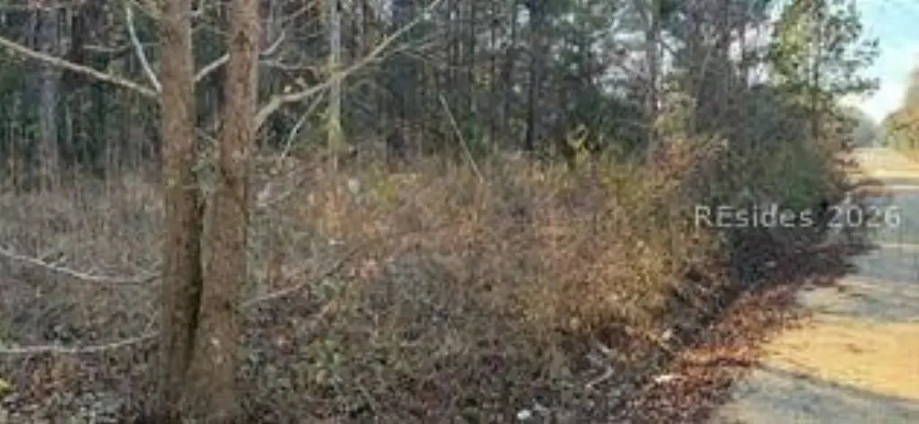 Picture 2