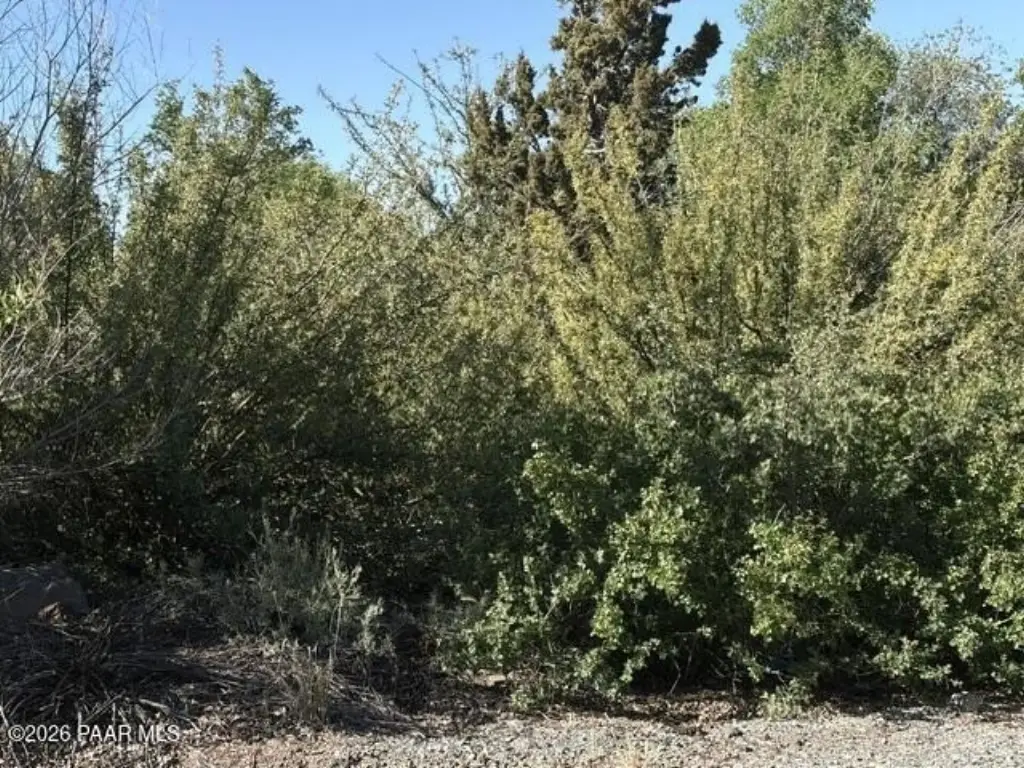 Picture 19