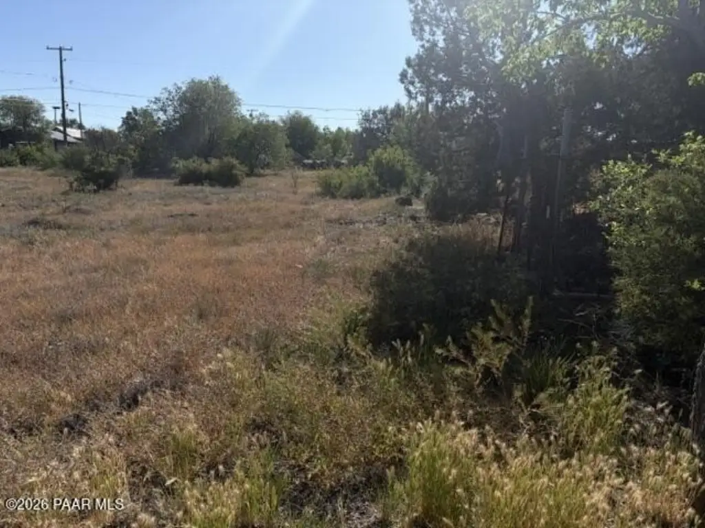 Picture 11