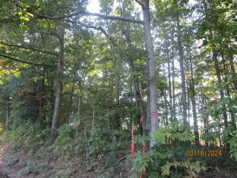 Victoria, VA Land For Sale