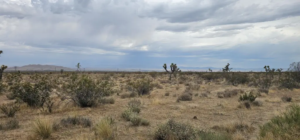 Picture 3