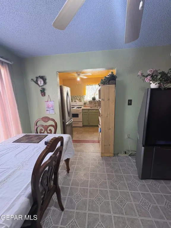Picture 12