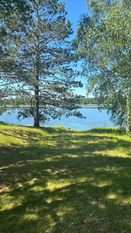Picture 3