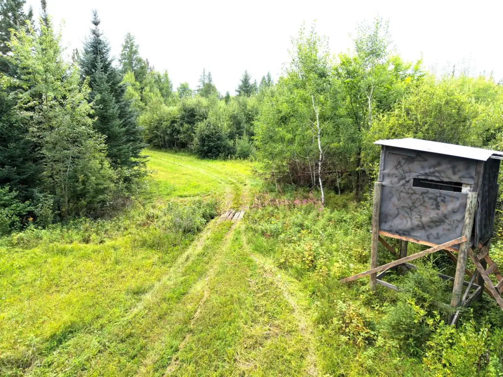 Picture 48