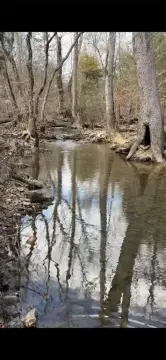 Creekfront Land in Broken Bow