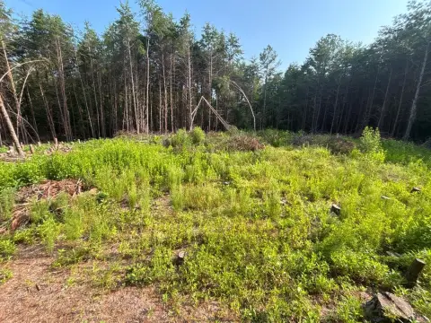 Nathalie, VA Unimproved Land