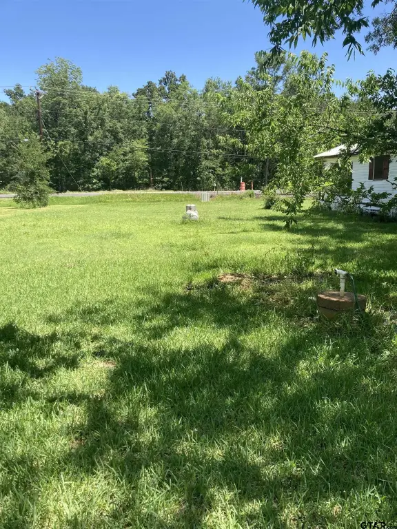 Picture 5
