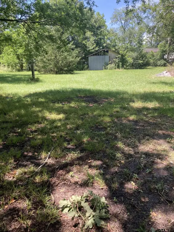 Picture 2