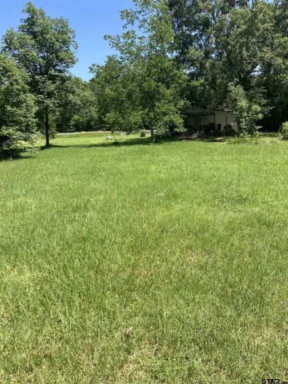 Picture 4