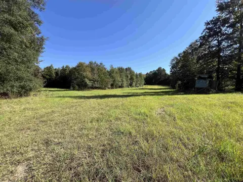 62 Acres of Wooded Land