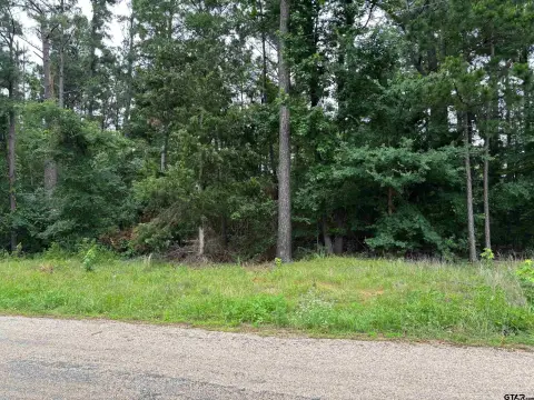 Residential Lots Near Lake