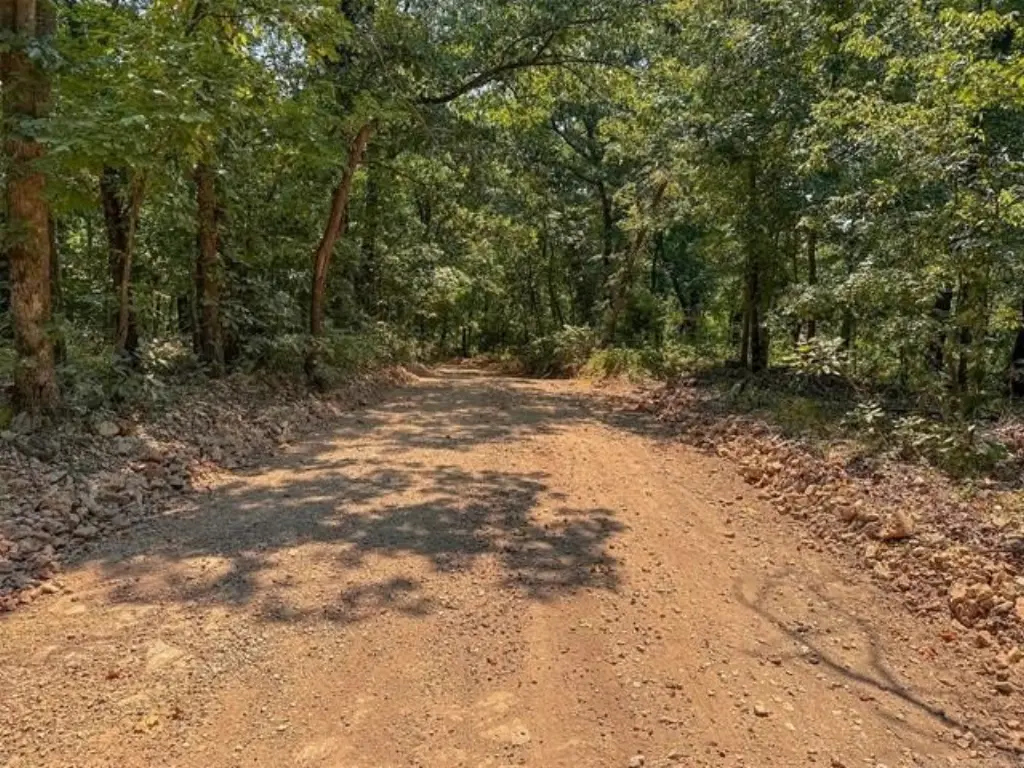 Picture 45