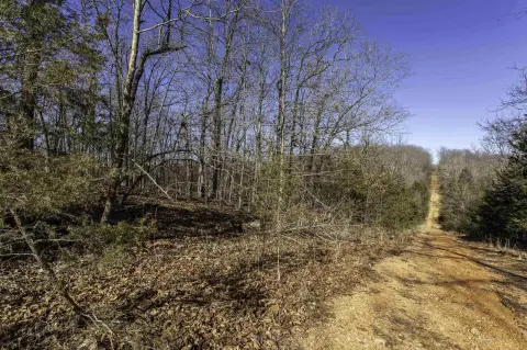 Premier Hunting Tract in Williford