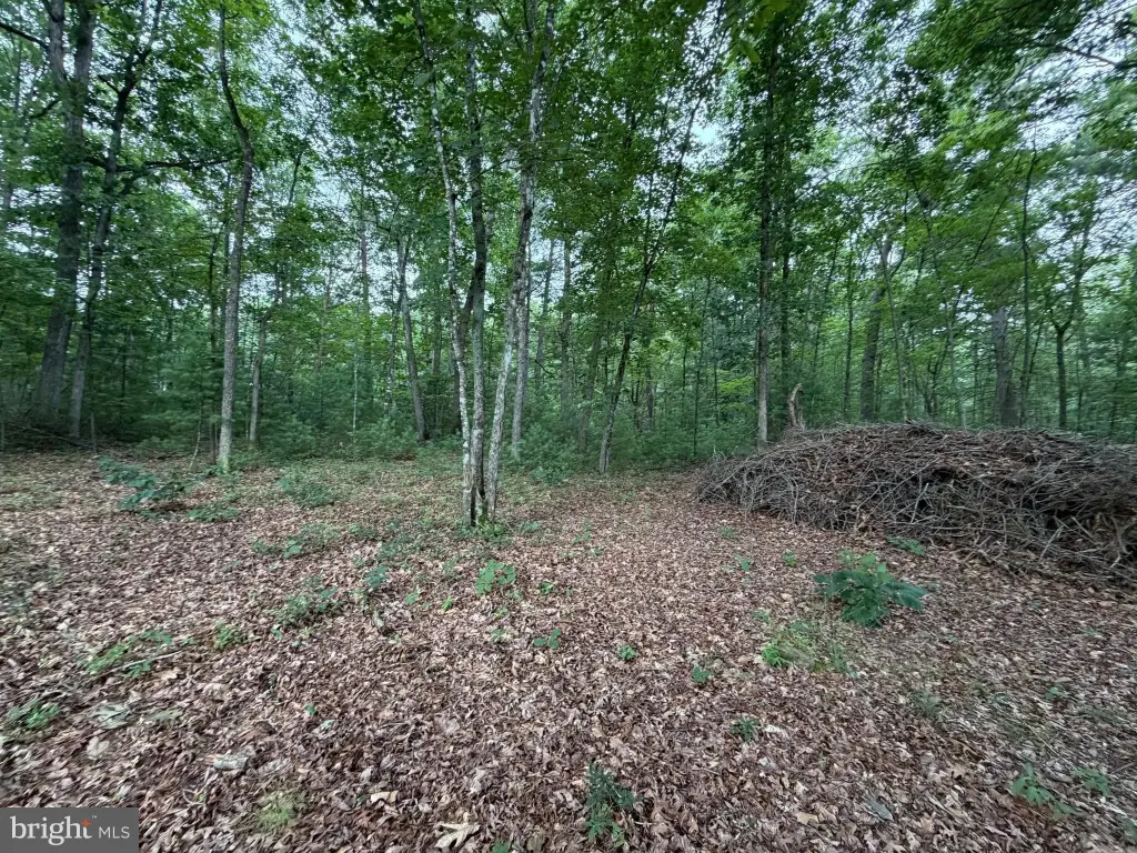 Picture 5