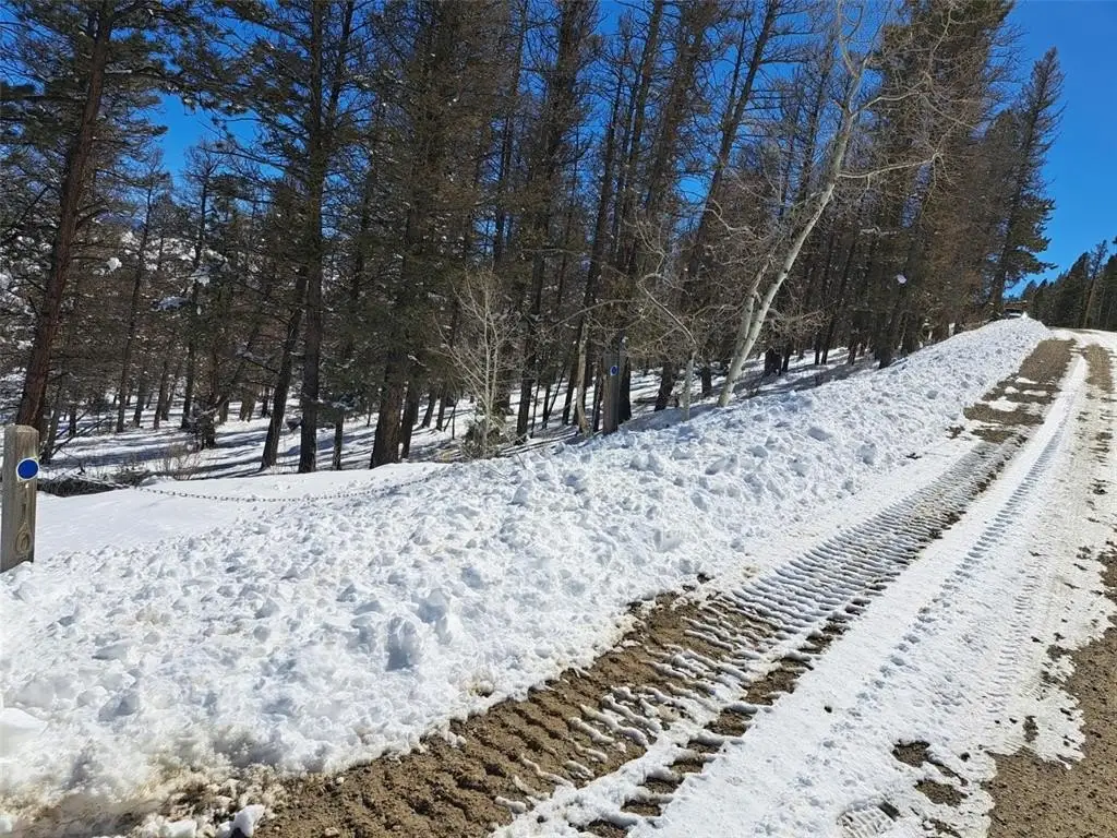 Picture 25