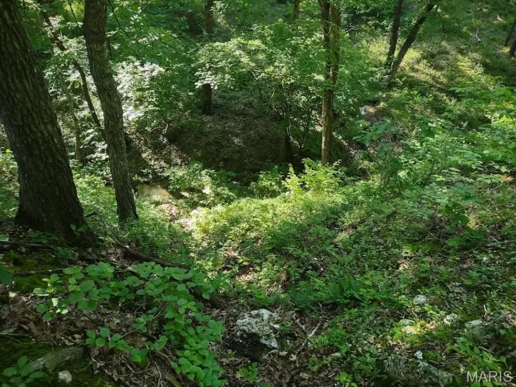 Picture 7