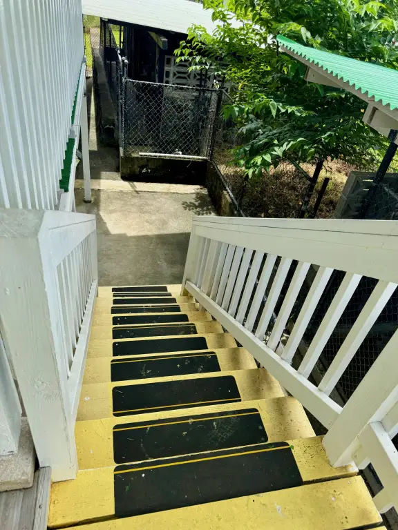 Picture 14